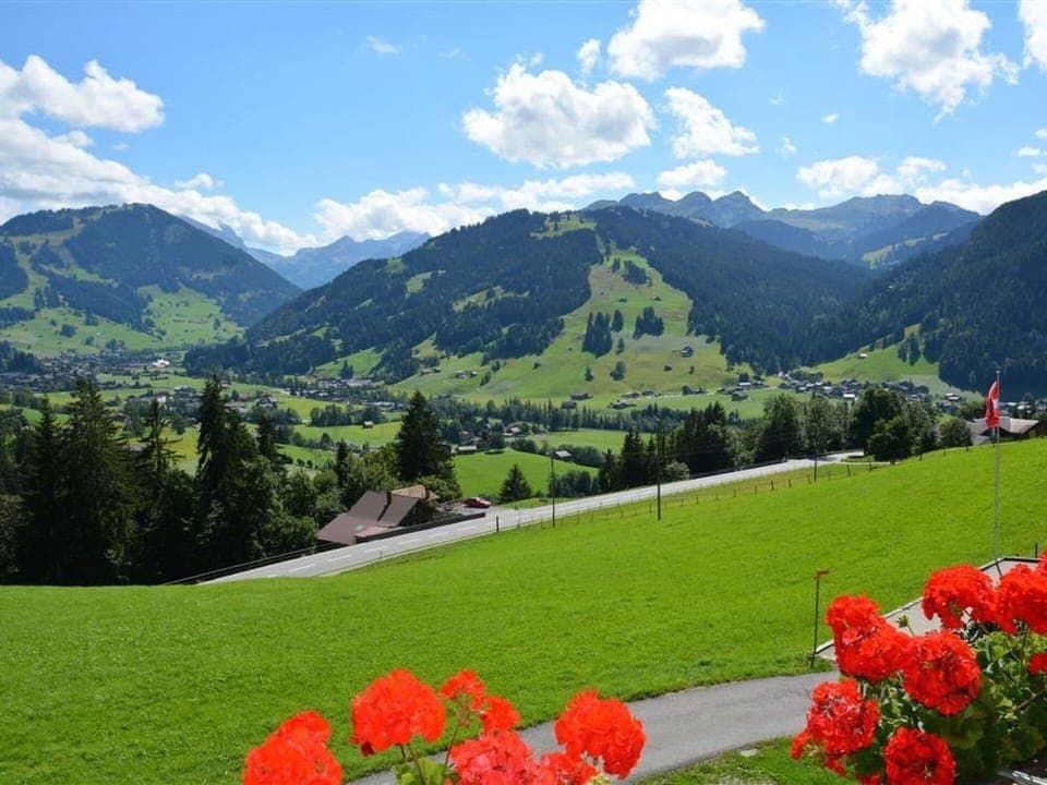 Flower, Cloud, Plant, Sky, Mountain, Ecoregion, Green, Natural Landscape, Nature, Natural Environment