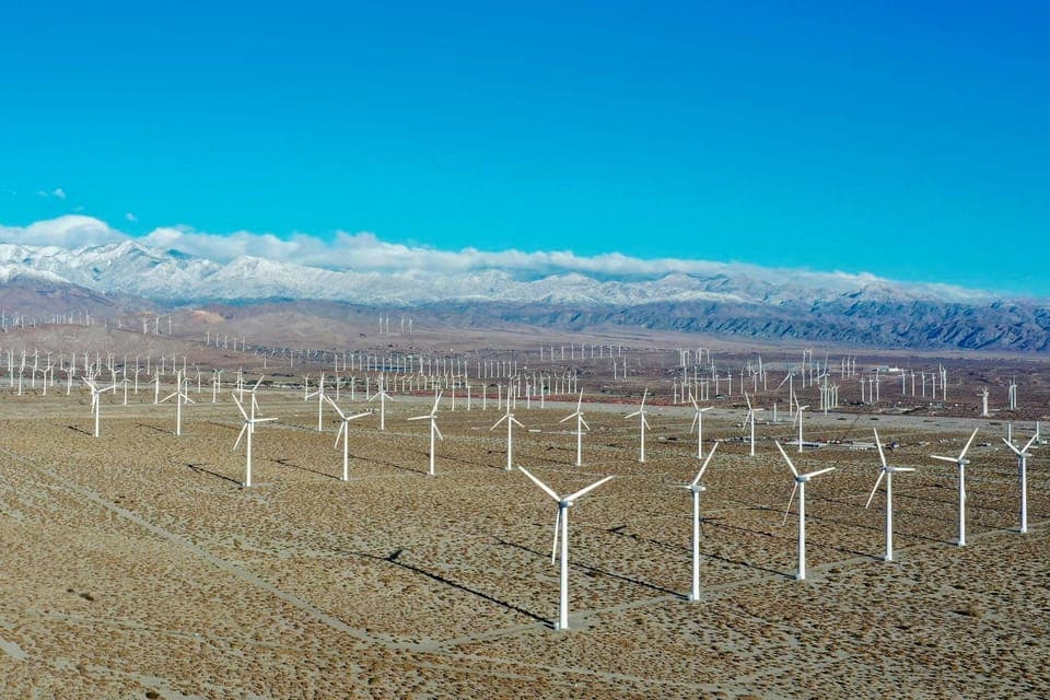 Walk to view the windmills of San Gorgonio Pass