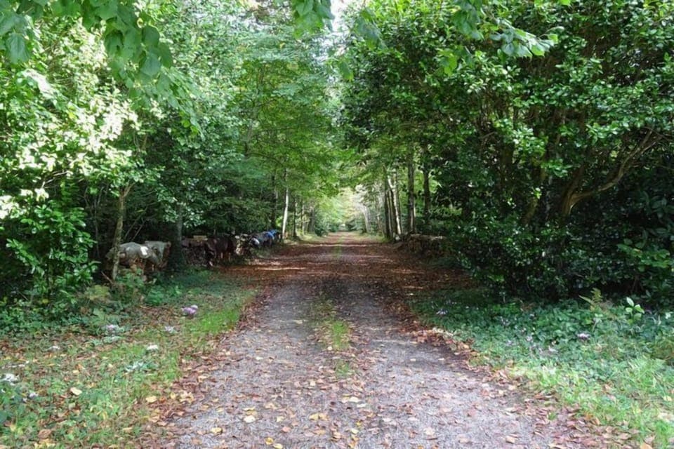 Immediate Surroundings [summer] (<1 km)