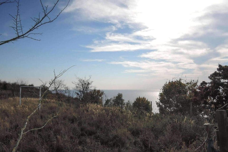 Immediate Surroundings [summer] (<1 km)