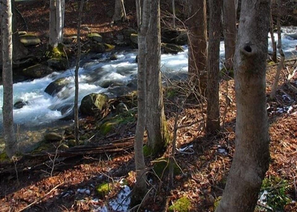 Water, Nature, Outdoors, Creek, Stream
