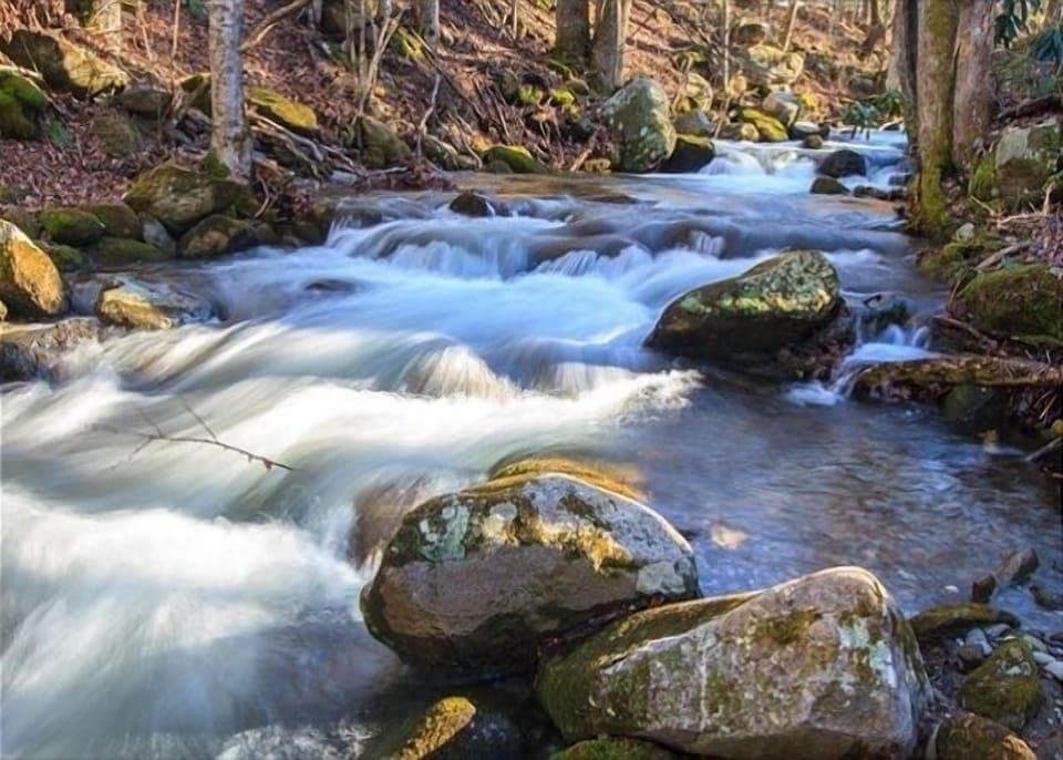 Water, Nature, Outdoors, Stream, Creek