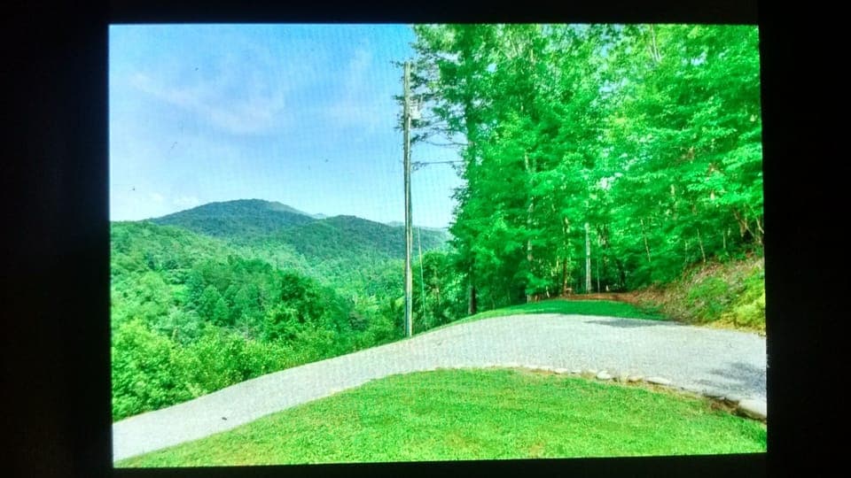 View from driveway