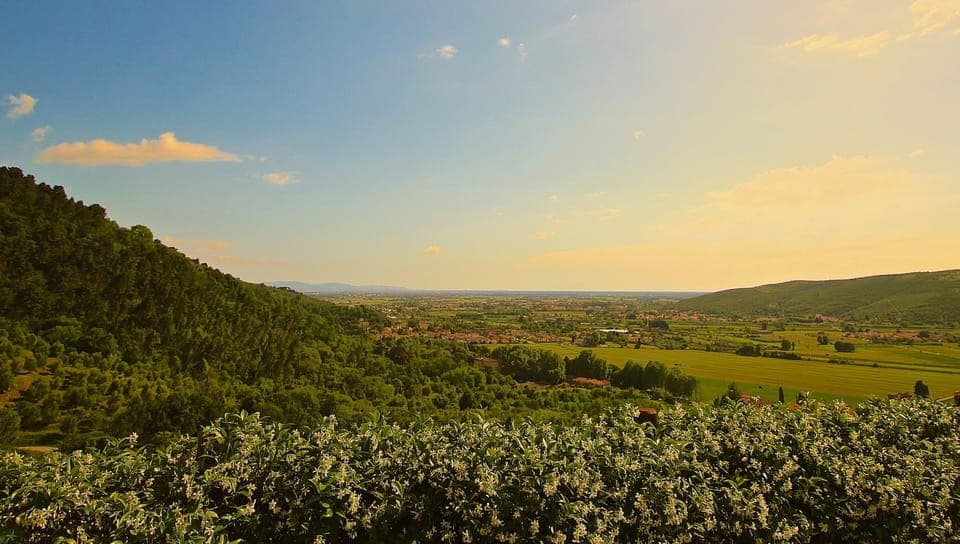 Views from front of house over countryside, Pisa, Leaning Tower & Med !