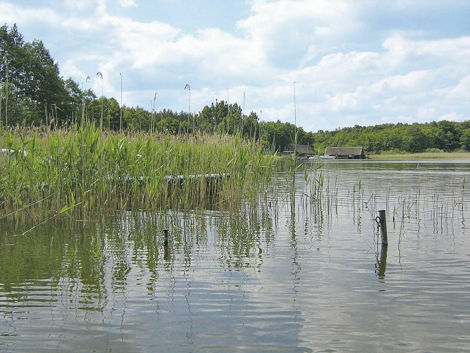 Water, Sky, Cloud, Plant, Natural Landscape, Tree, Lake, Watercourse