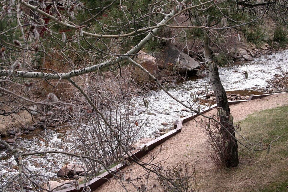 River View from Deck
