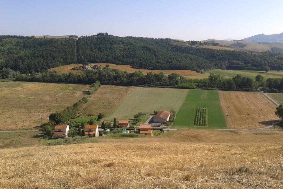 Plant, Sky, Natural Landscape, Tree, Land Lot, Highland, Grass, Agriculture, Grassland, Slope