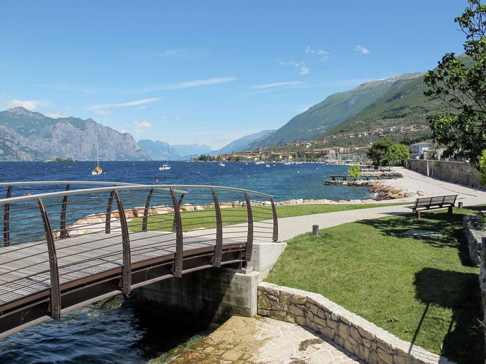 Plant, Sky, Plant Community, Natural Landscape, Branch, Tree, Grass, Shrub, Deciduous, Landscape