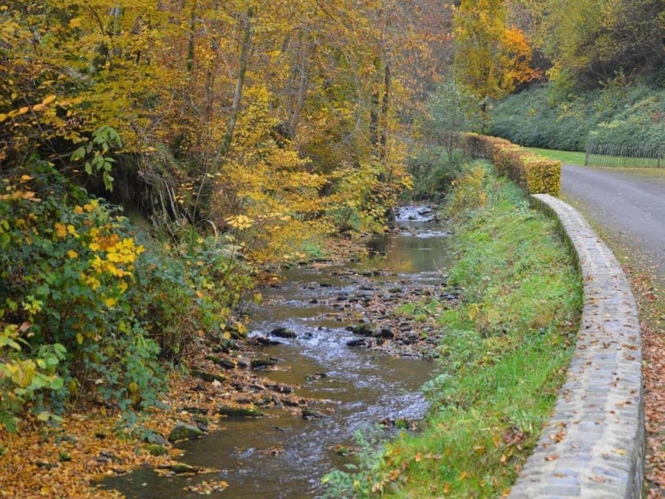 Region [summer] (>5 km)