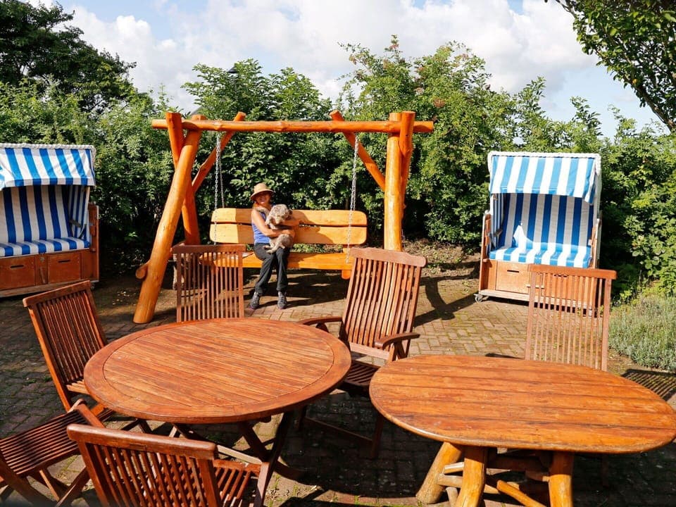 Furniture, Cloud, Plant, Sky, Chair, Nature, Wood, Outdoor Furniture, Tree, Shade
