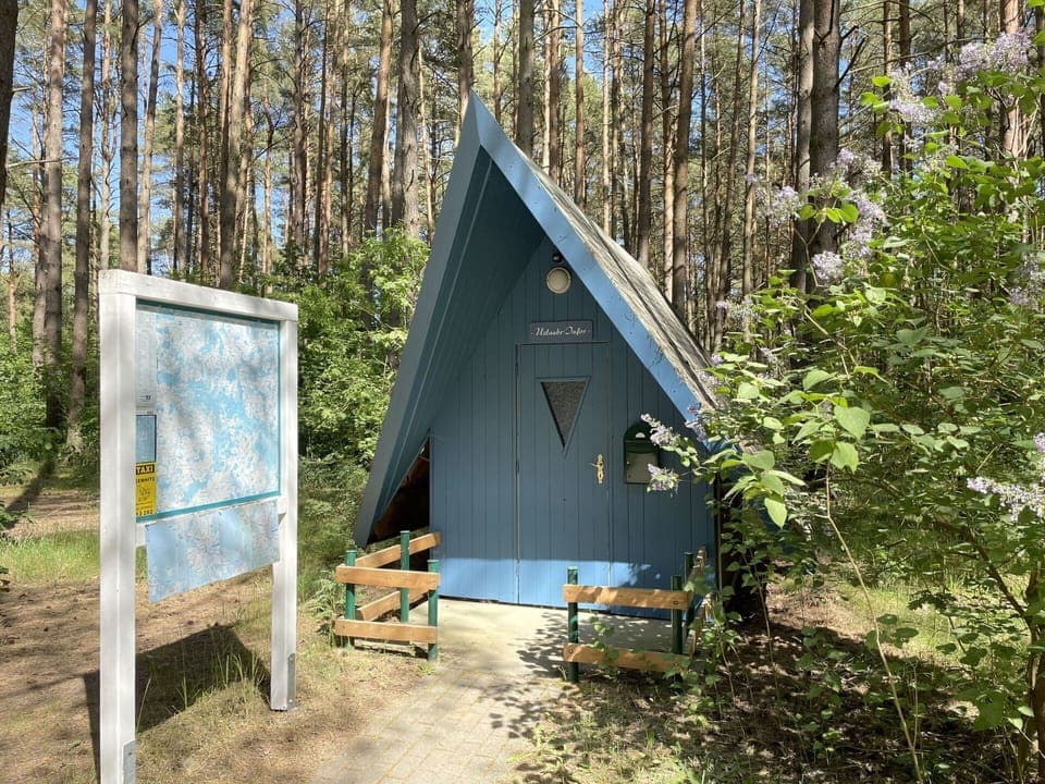 Plant, Tree, Wood, Shade, Cottage, Grass, Tints And Shades, Landscape, Forest