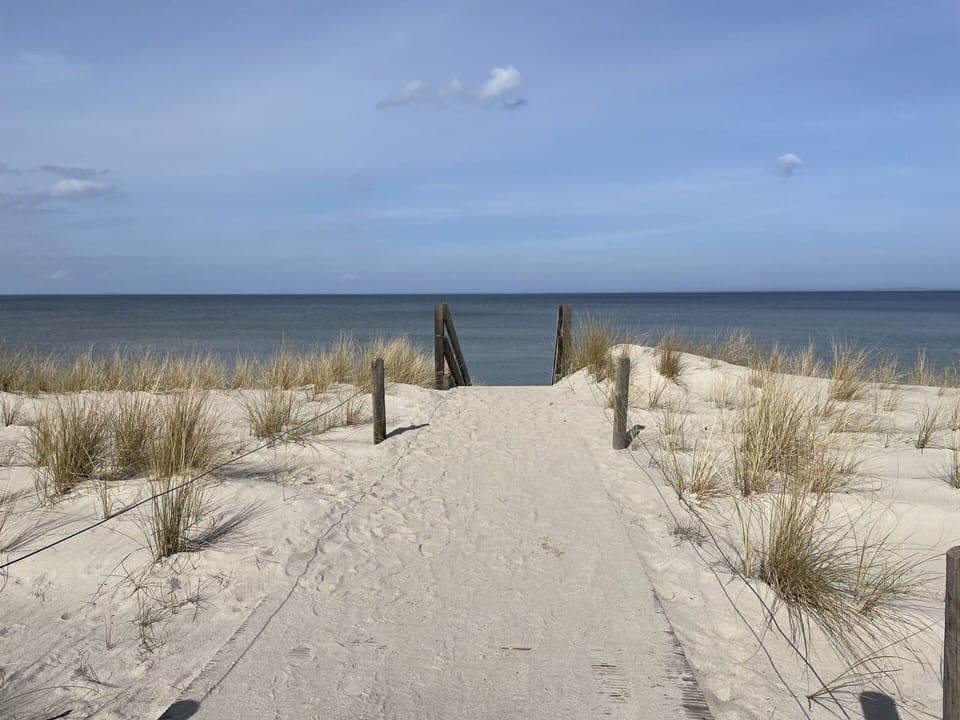 Cloud, Water, Plant, Sky, Ecoregion, Azure, Wood, Beach, Horizon, Natural Landscape
