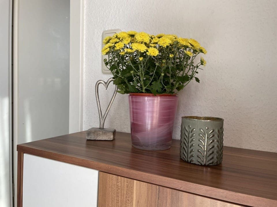 Flower, Plant, Flowerpot, Table, Furniture, Houseplant, Vase, Rectangle, Wood, Shelf