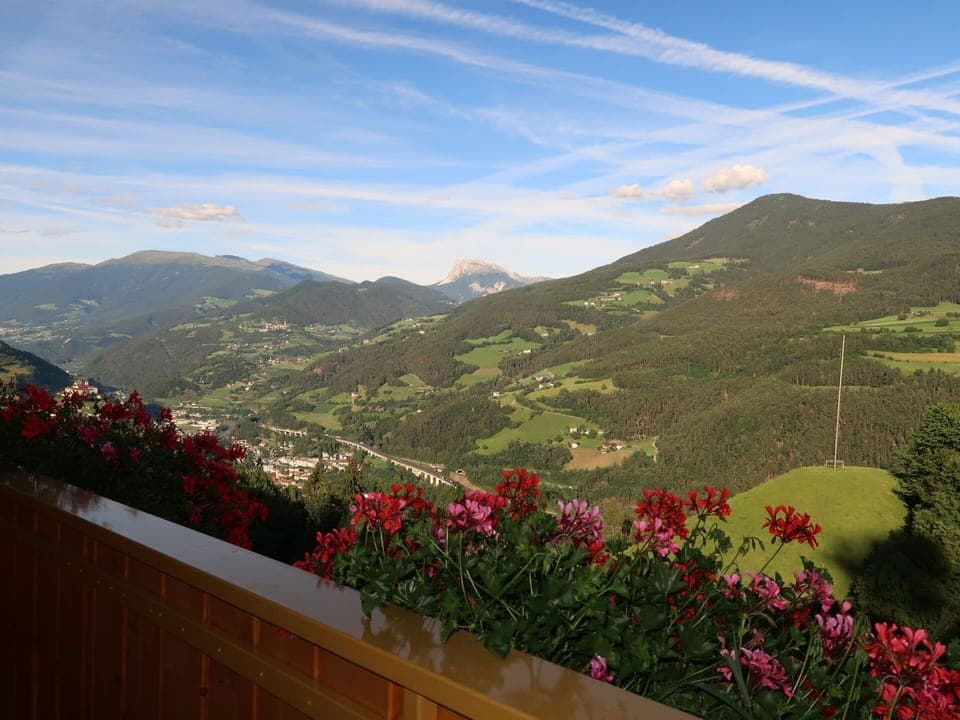 Flower, Cloud, Sky, Plant, Mountain, Property, Slope, Natural Landscape, Tree, Landscape