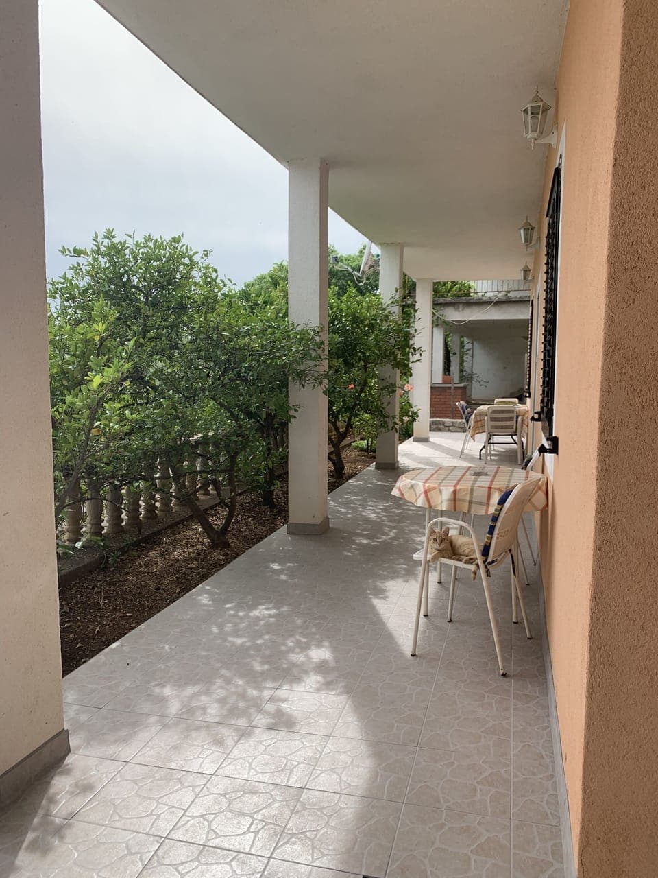 Terrace
