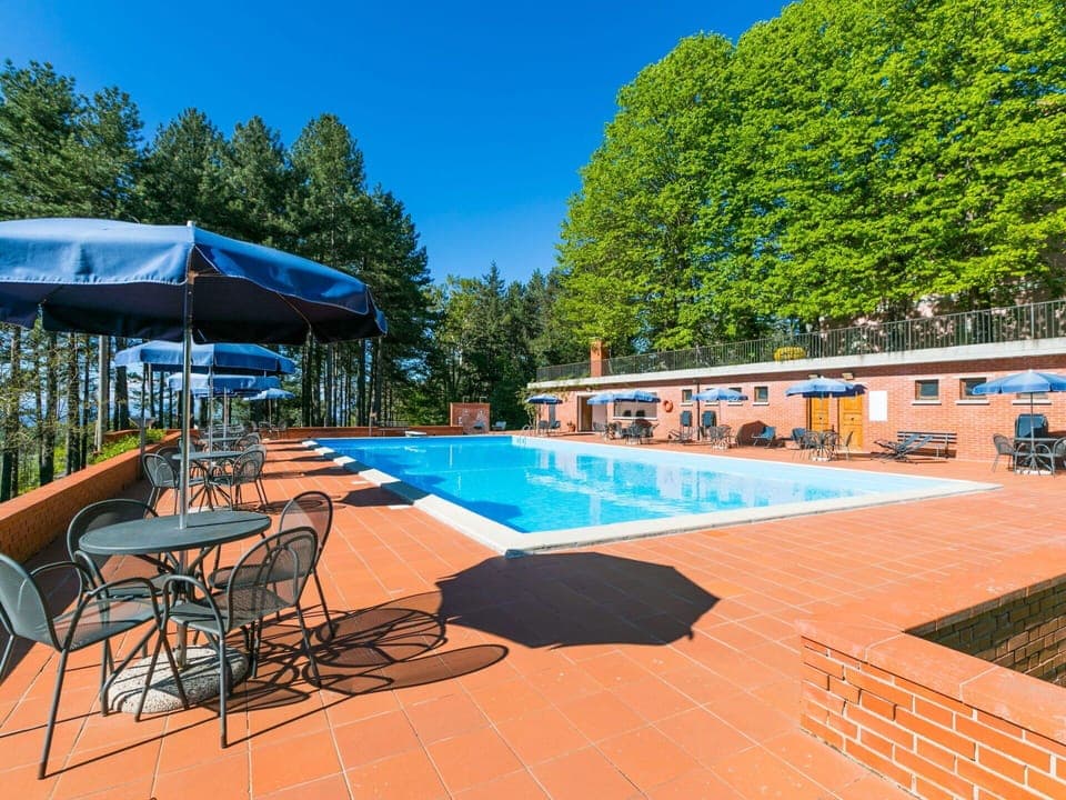 Furniture, Sky, Swimming Pool, Chair, Plant, Outdoor Furniture, Shade, Tree, Umbrella, Water