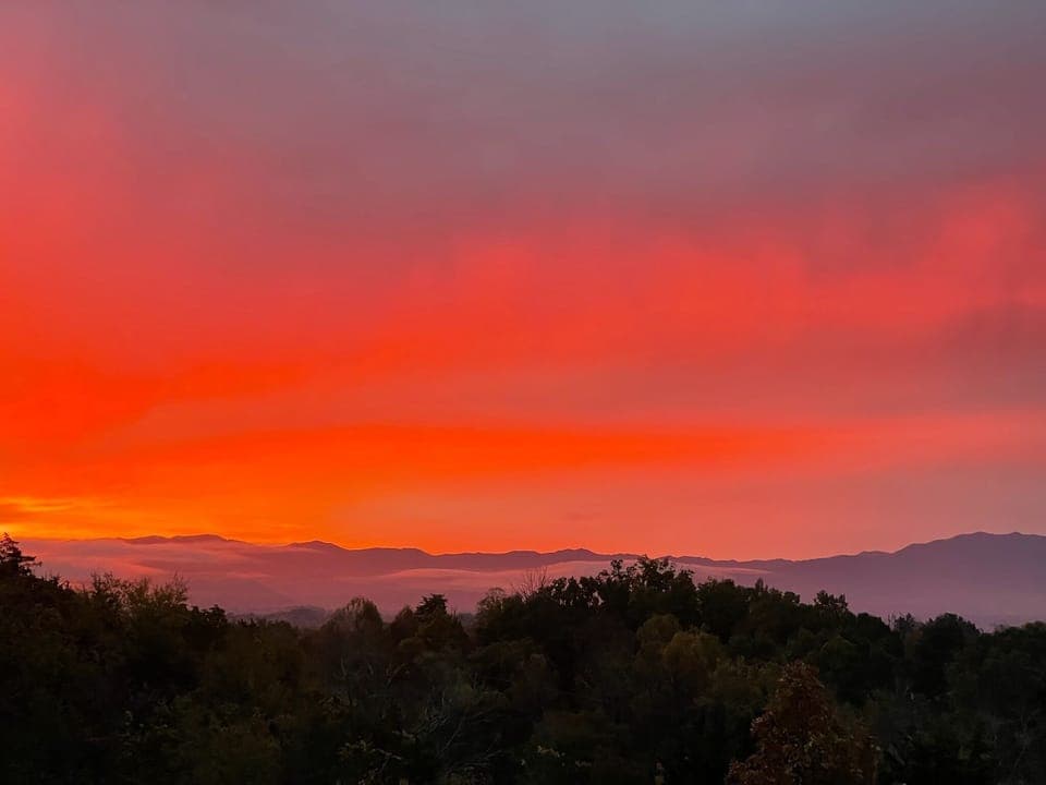This photo was taken during sunrise at our back porch.Enjoy!!