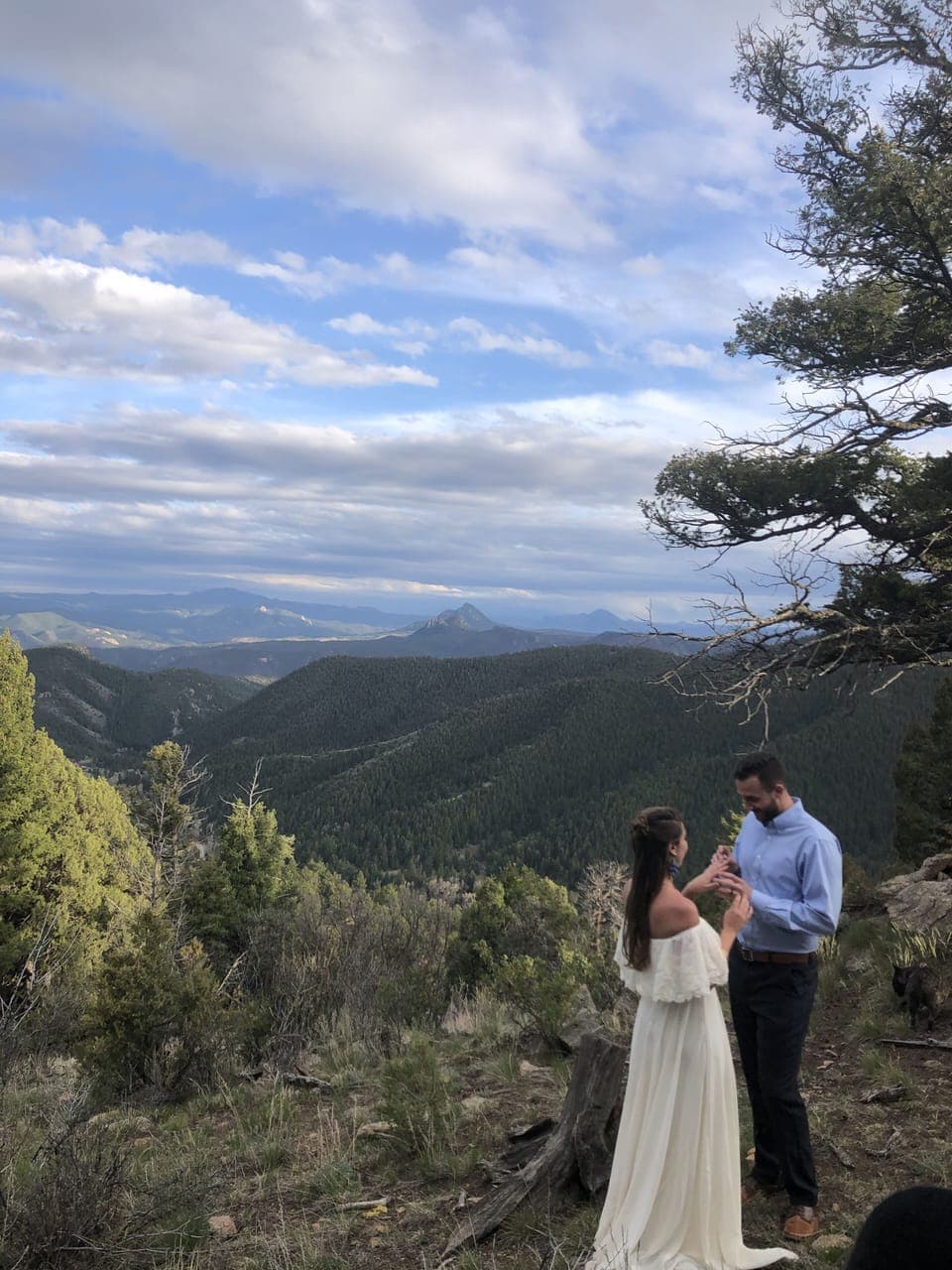 View from property