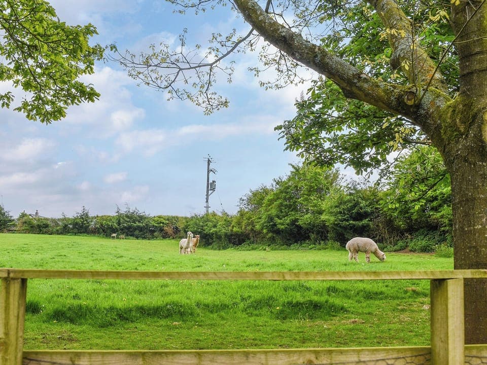 Garden and grounds | Oak Lodge - Dale Garth Lodges, Mascalles, near Ulverston