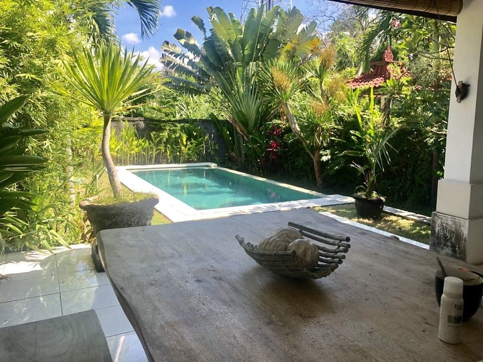 View from the terrass on the 7x3m natural stones infinity pool and garden
