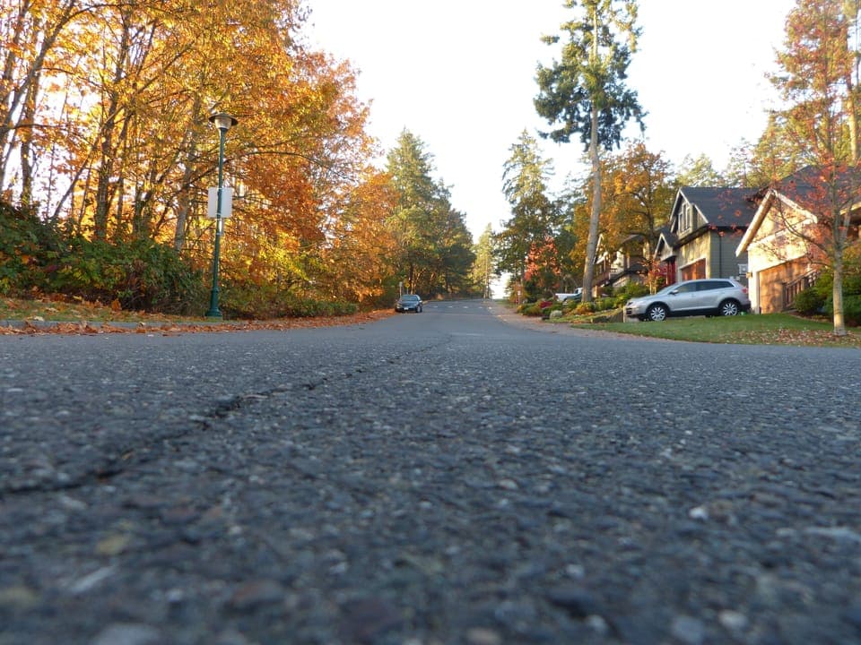 Fall in our Neighbourhood