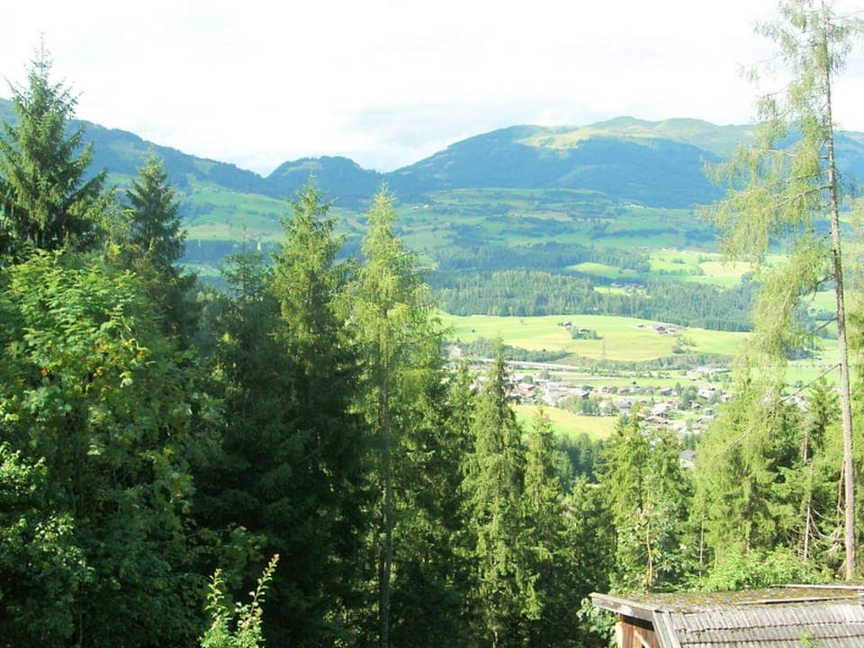 Mountainous Landforms, Tree, Natural Environment, Mountain, Highland, Hill, Hill Station, Forest, Wilderness, Mountain Range