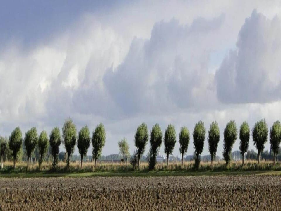 Region [summer] (>5 km)