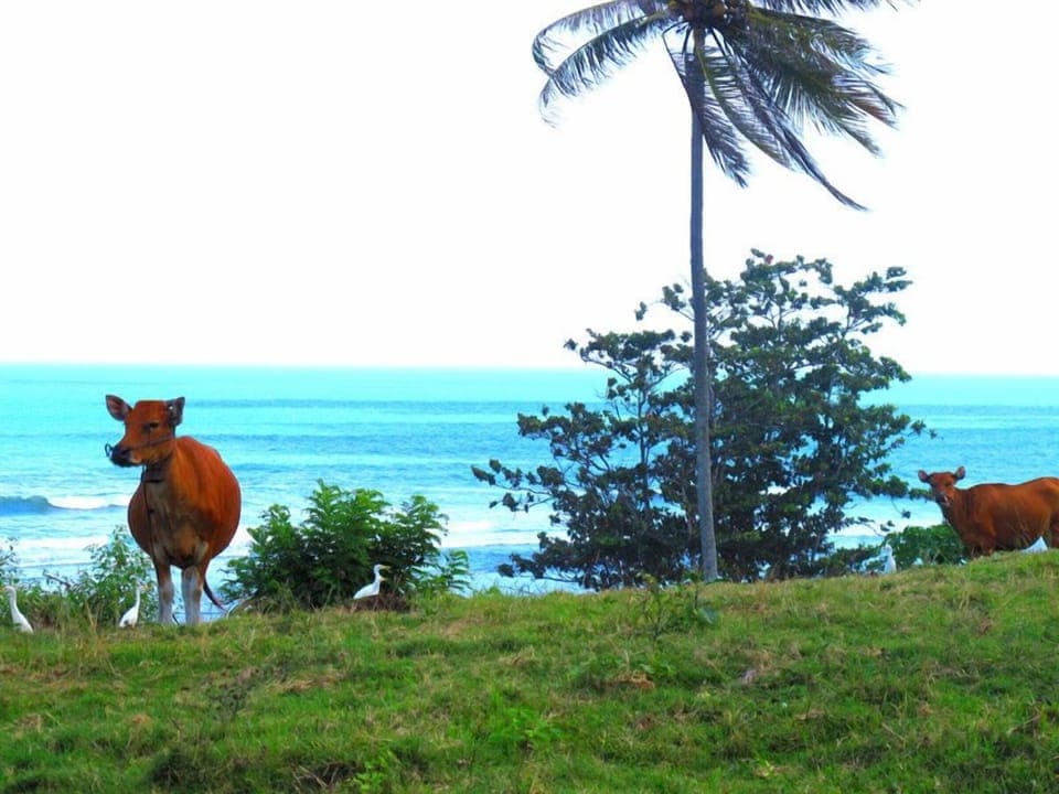 Beachfront Villa Inca