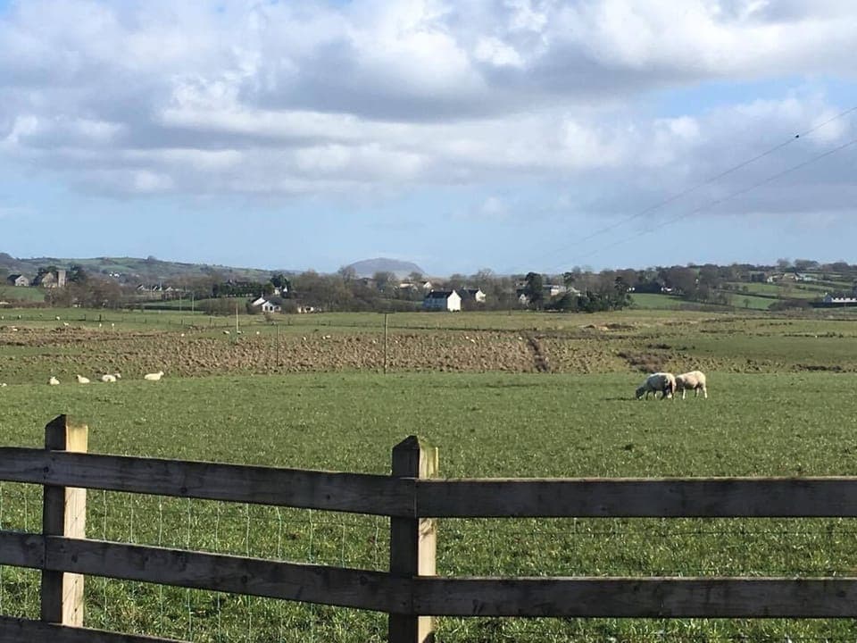 Slemish Mountain in the distance 