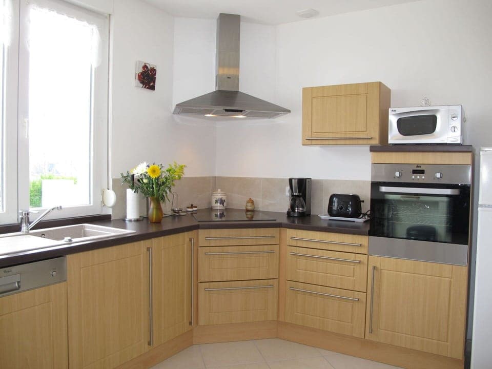 Cabinetry, Property, Window, Countertop, Kitchen Appliance, Lighting, Interior Design, Kitchen, Wood, Flower