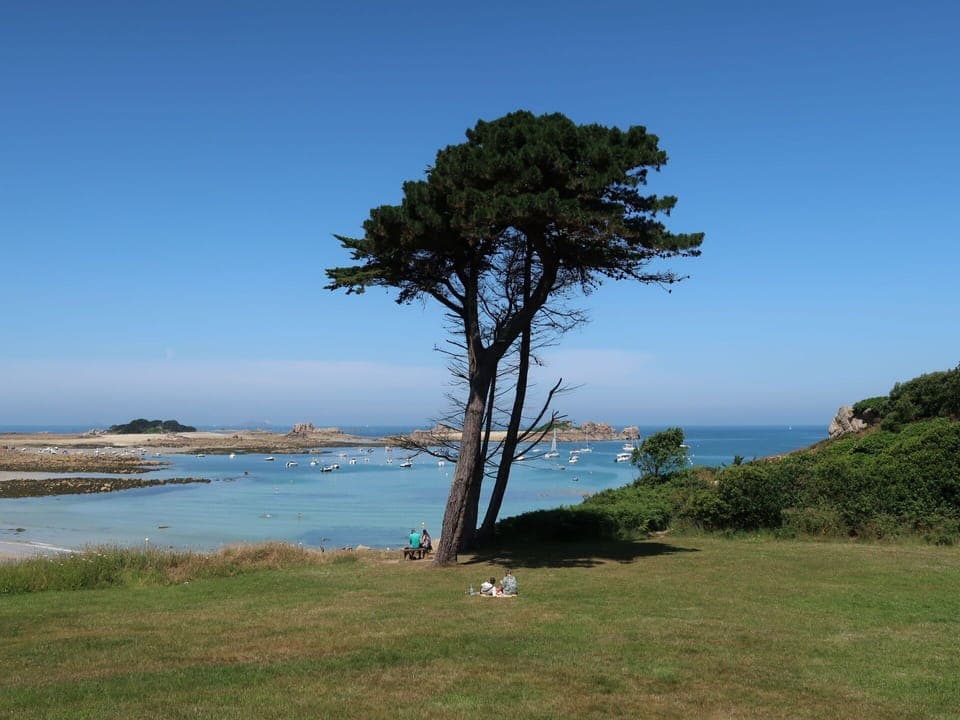 Water, Sky, Plant, Tree, Azure, Natural Landscape, Vegetation, Coastal And Oceanic Landforms, Trunk, Wood