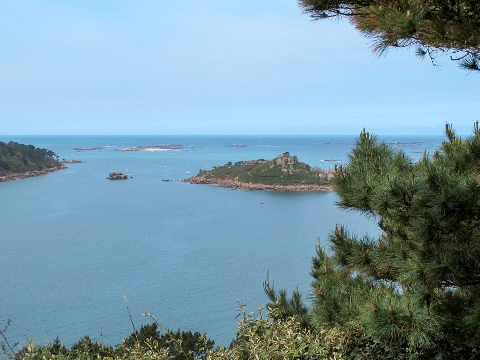 Sky, Building, Plant, Urban Design, Tower Block, Condominium, Real Estate, City, Facade, Commercial Building