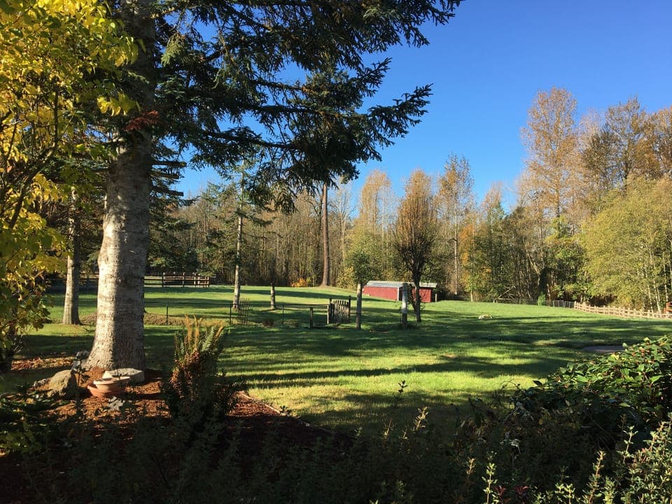 The beautiful Forest Grove view from the house!