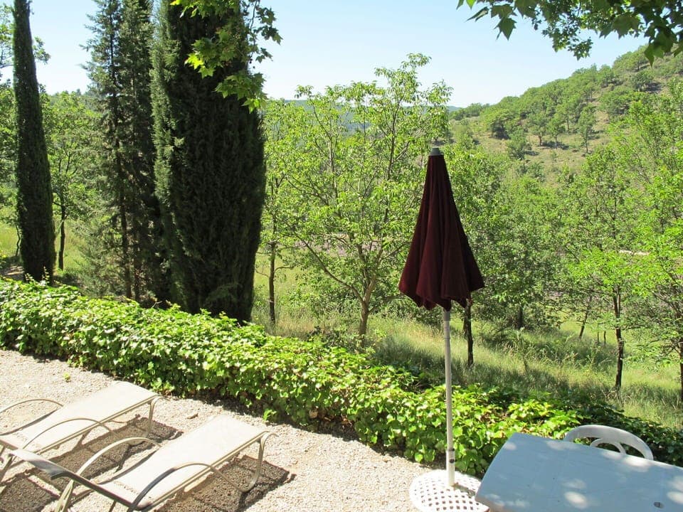 Plant, Sky, Plant Community, Leaf, Natural Landscape, Botany, Tree, Land Lot, Grass, Shade