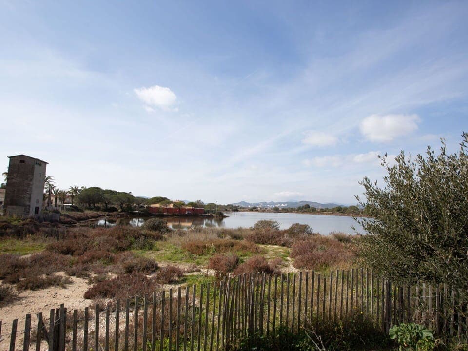 Cloud, Sky, Plant, Water, Body Of Water, Land Lot, Fence, Natural Landscape, Grass, Wood