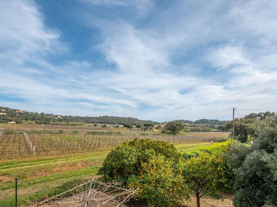 Cloud, Plant, Sky, Ecoregion, Natural Landscape, Natural Environment, Land Lot, Agriculture, Cumulus, Grass