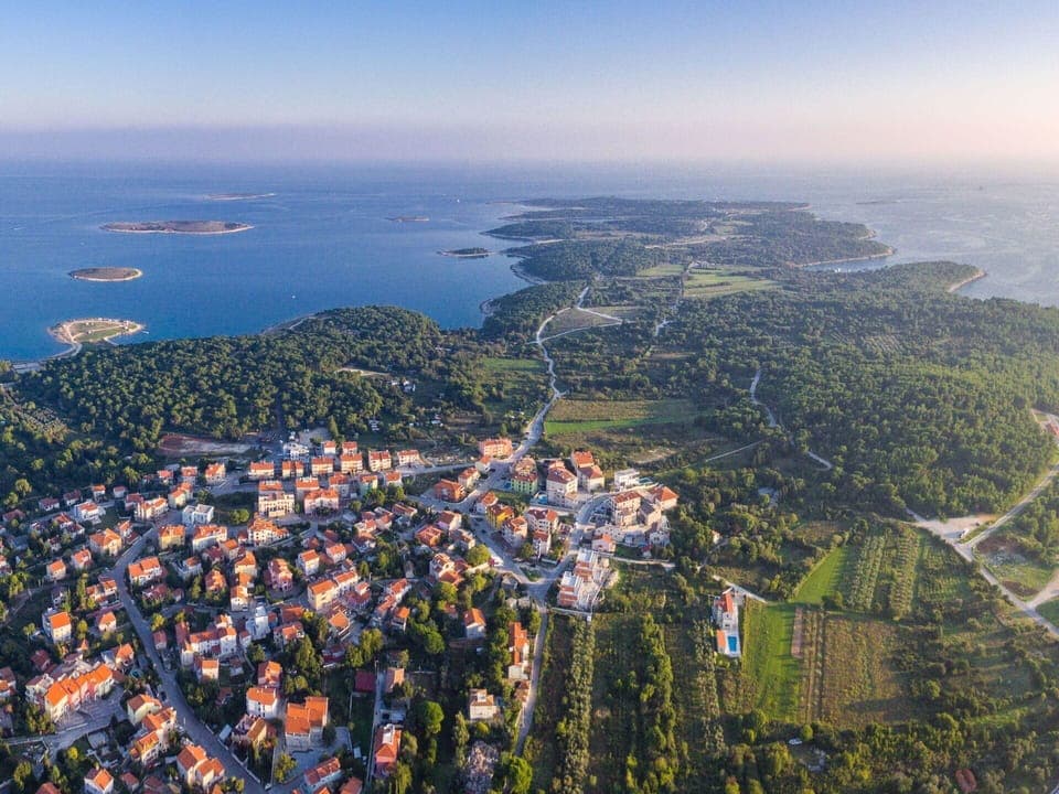 Sky, Cloud, Plant, Flower, Ecoregion, Natural Landscape, Tree, Land Lot, Agriculture, Plain