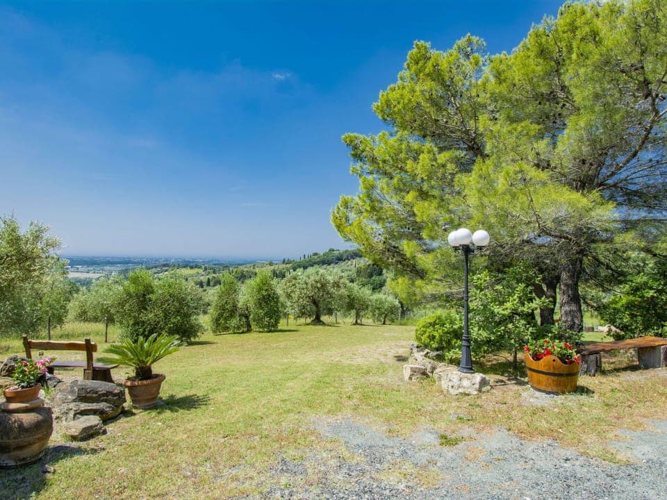 Plant, Sky, Property, Cloud, Flowerpot, Natural Landscape, Tree, Land Lot, Houseplant, Grass