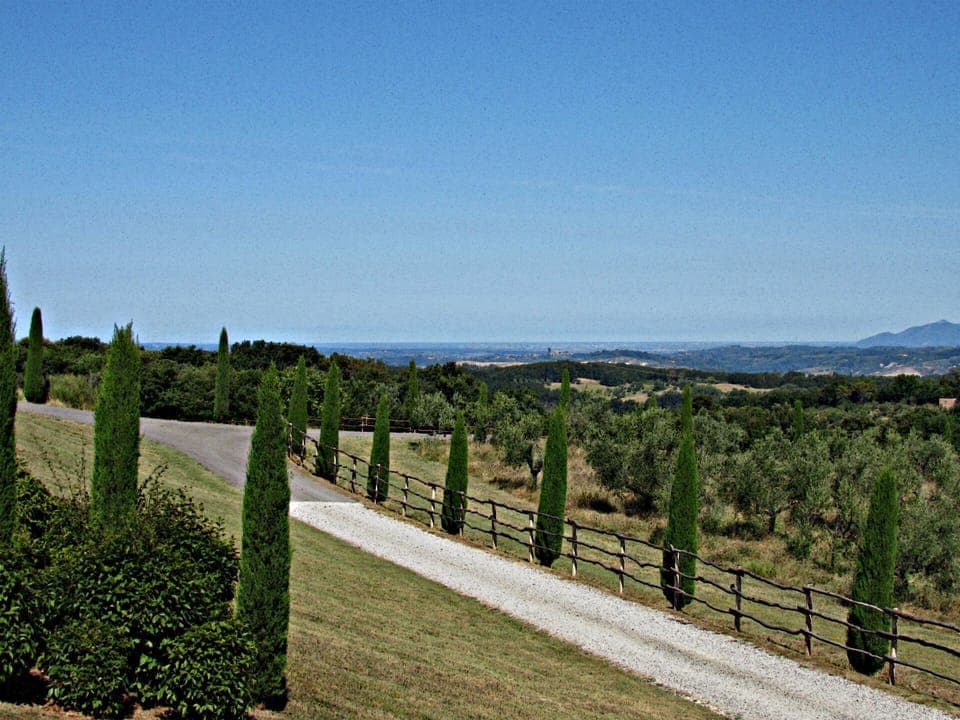 Sky, Tree, Natural Landscape, Land Lot, Property, Fence, Grass, Landscape, Plant, Shrub