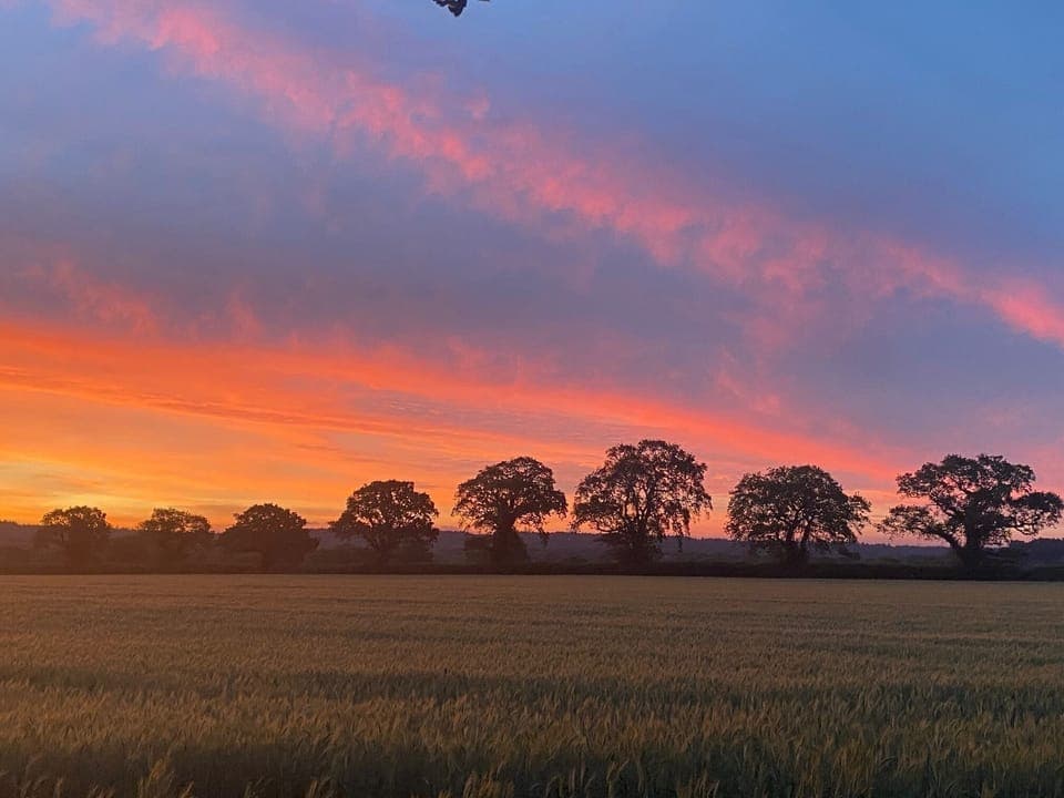 View from the Secret Deck