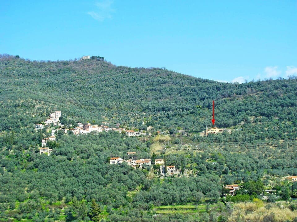 Sky, Plant, Plant Community, Ecoregion, Natural Environment, Mountain, Natural Landscape, Land Lot, Tree, Grass