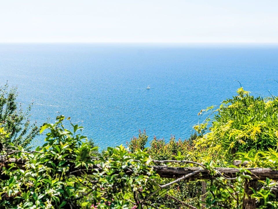 Blue, Daytime, Green, Vegetation, Horizon, Sea, Ocean, Coastal And Oceanic Landforms, Sunlight, Coast