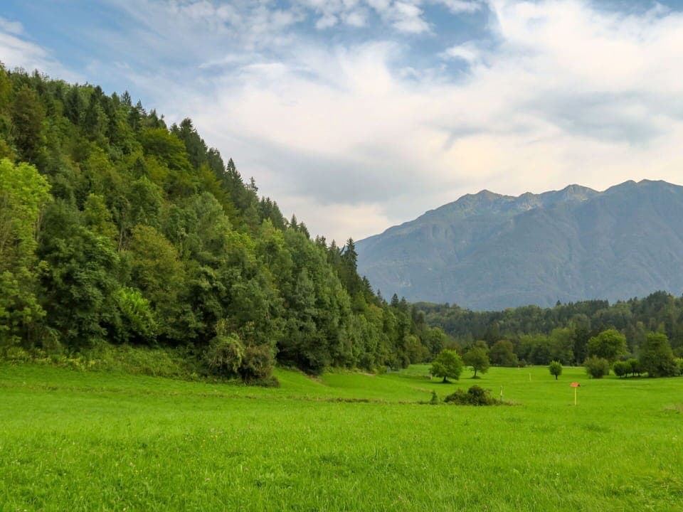 Wood, Lighting, Interior Design, Flooring, Floor, Living Room, Real Estate, Hardwood, Table, Beam