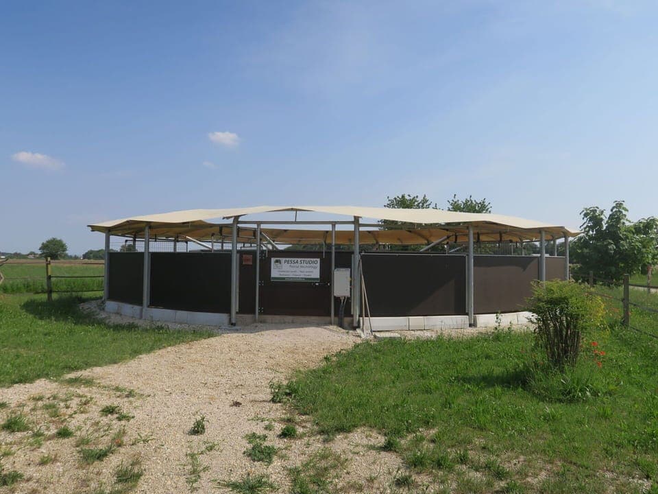 Sky, Plant, Cloud, Plant Community, Building, Shade, Tree, Landscape, Roof, House