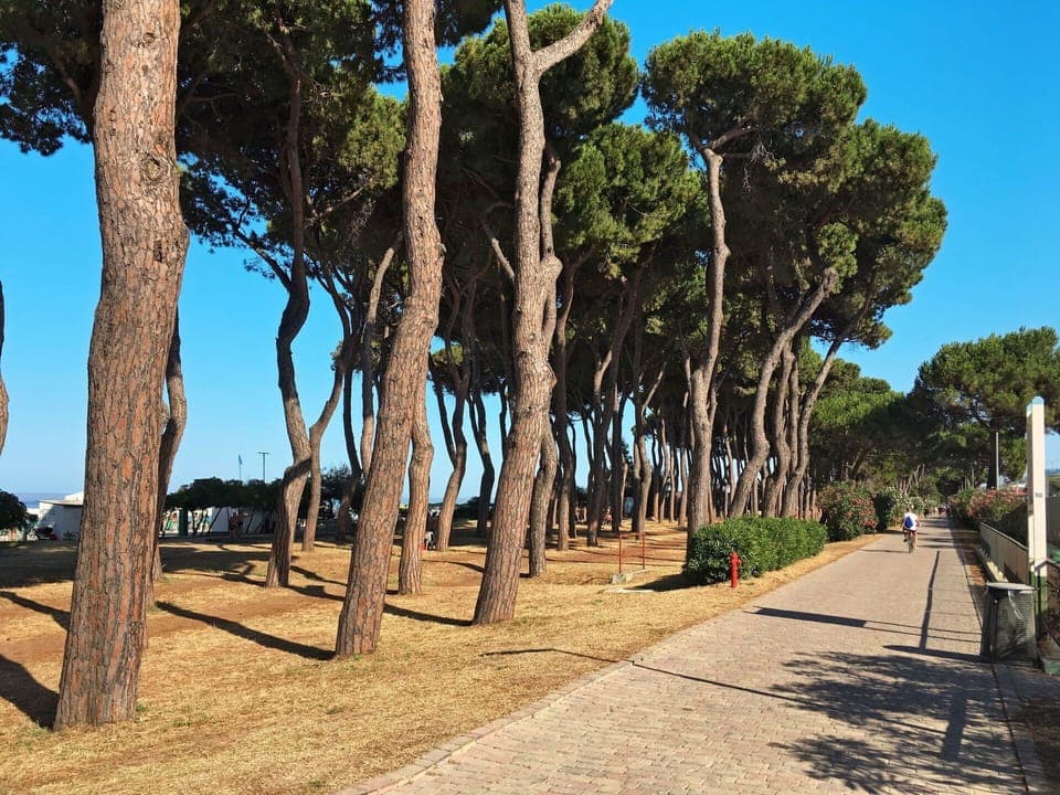 Wood, Lighting, Interior Design, Flooring, Floor, Living Room, Real Estate, Hardwood, Table, Beam