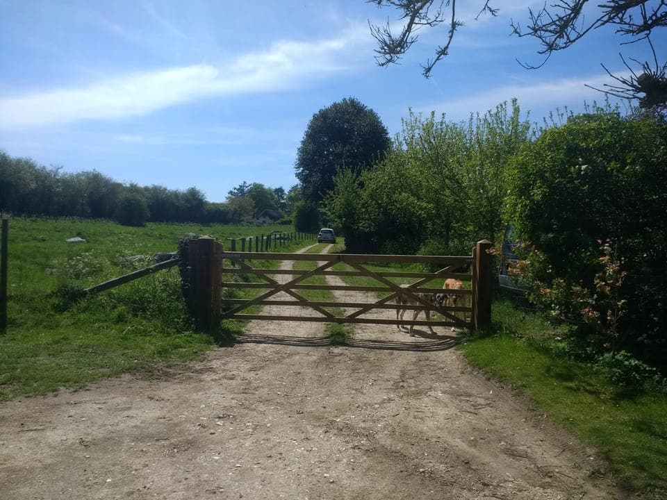 The gate to the property. 