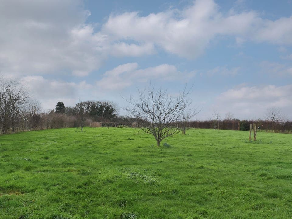 Garden | Ilsington View, Ilsington