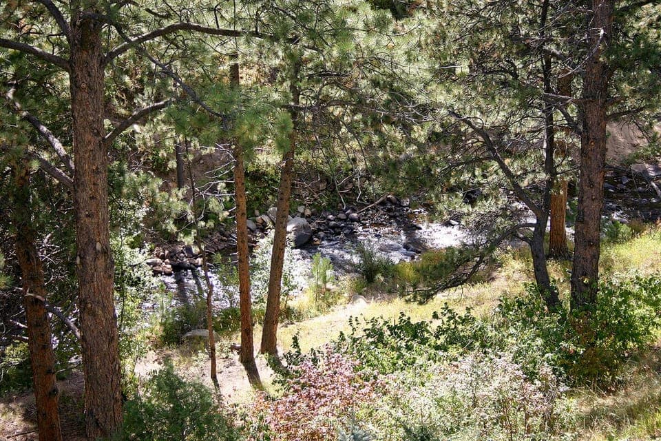 River View from Deck