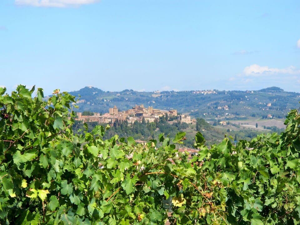 Furniture, Property, Ceiling Fan, Cabinetry, Table, Couch, Lighting, Picture Frame, Wood, Countertop