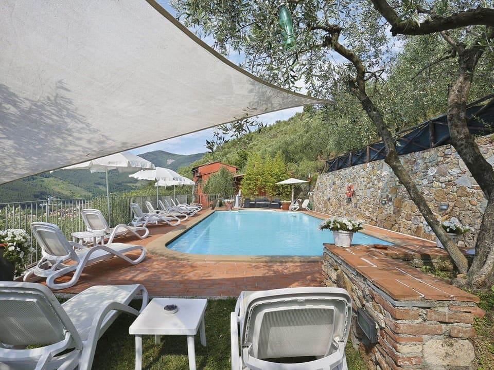 House, Tree, Swimming Pool, Vehicle, Automotive Exterior, Shade, Plant Community, Grass, Car, Family Car